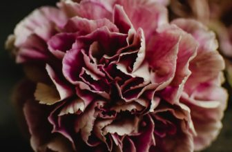 Vintage Caron Bellodgia |  Parfum Posse