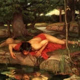 Legenden van de narcisbloem